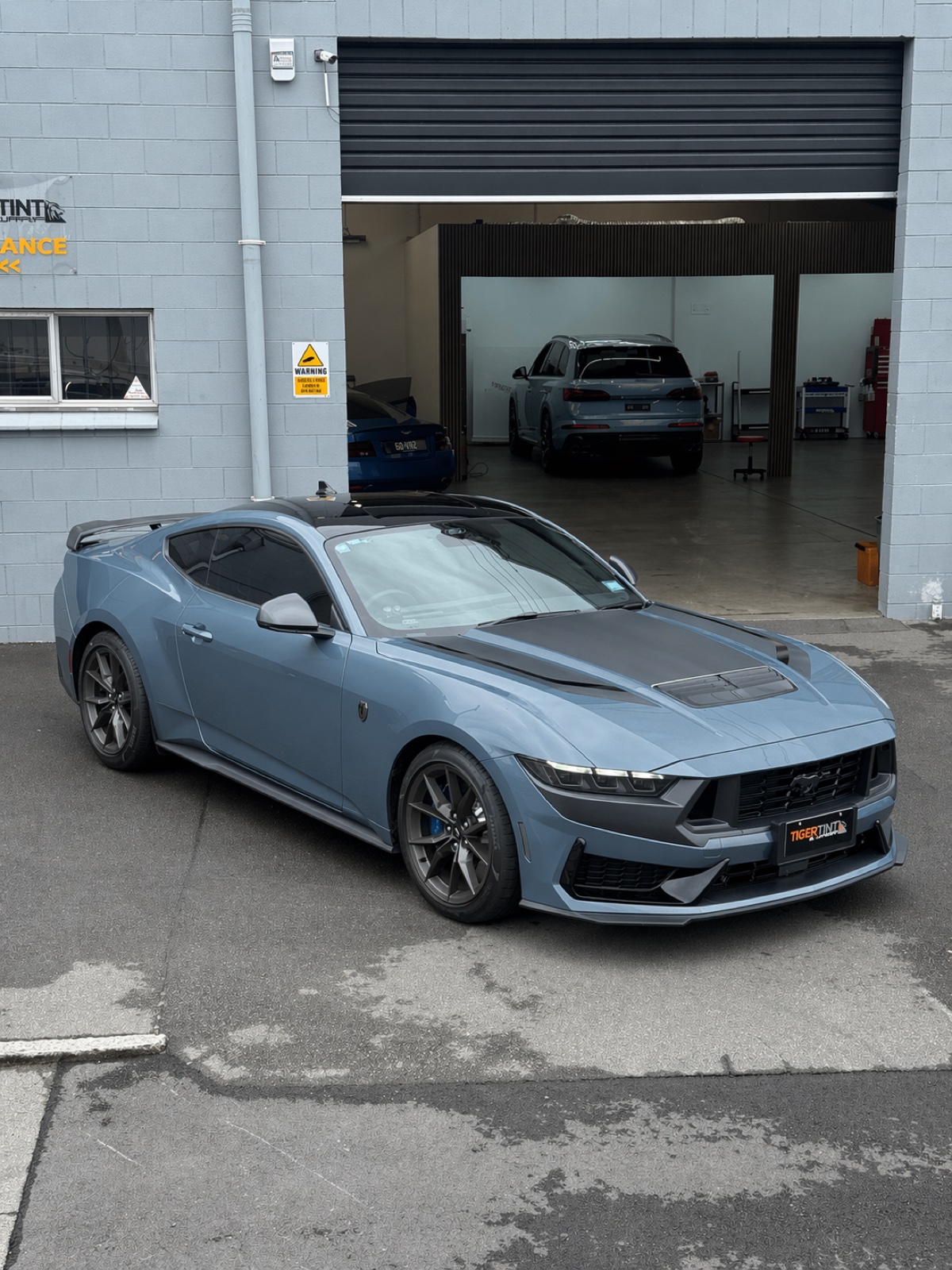 Coloured PPF transformation - Original
